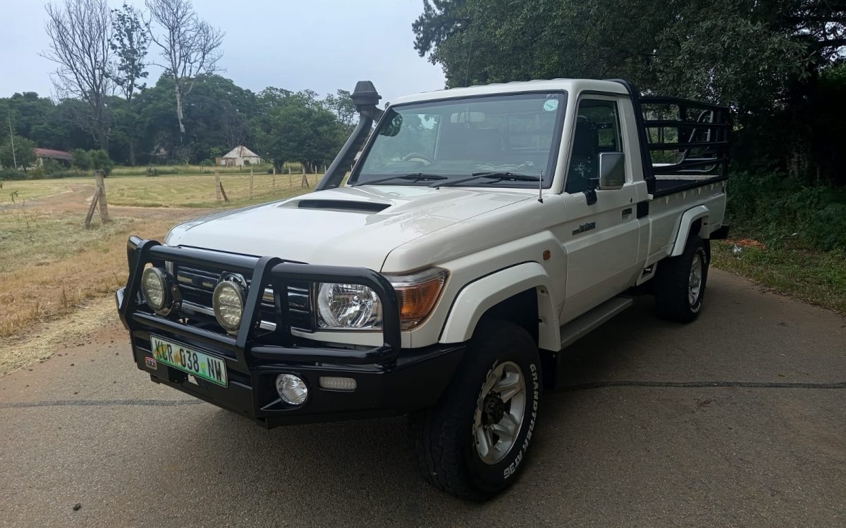 WhatsApp Image 2026-02-13 at 10.57.06