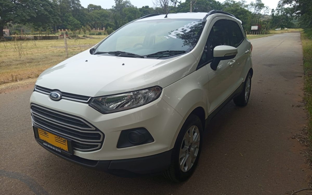 WhatsApp Image 2026-02-13 at 10.57.23 (1)