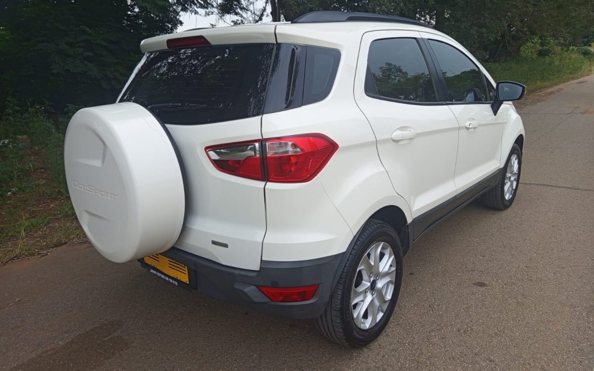 WhatsApp Image 2026-02-13 at 10.57.24 (1)