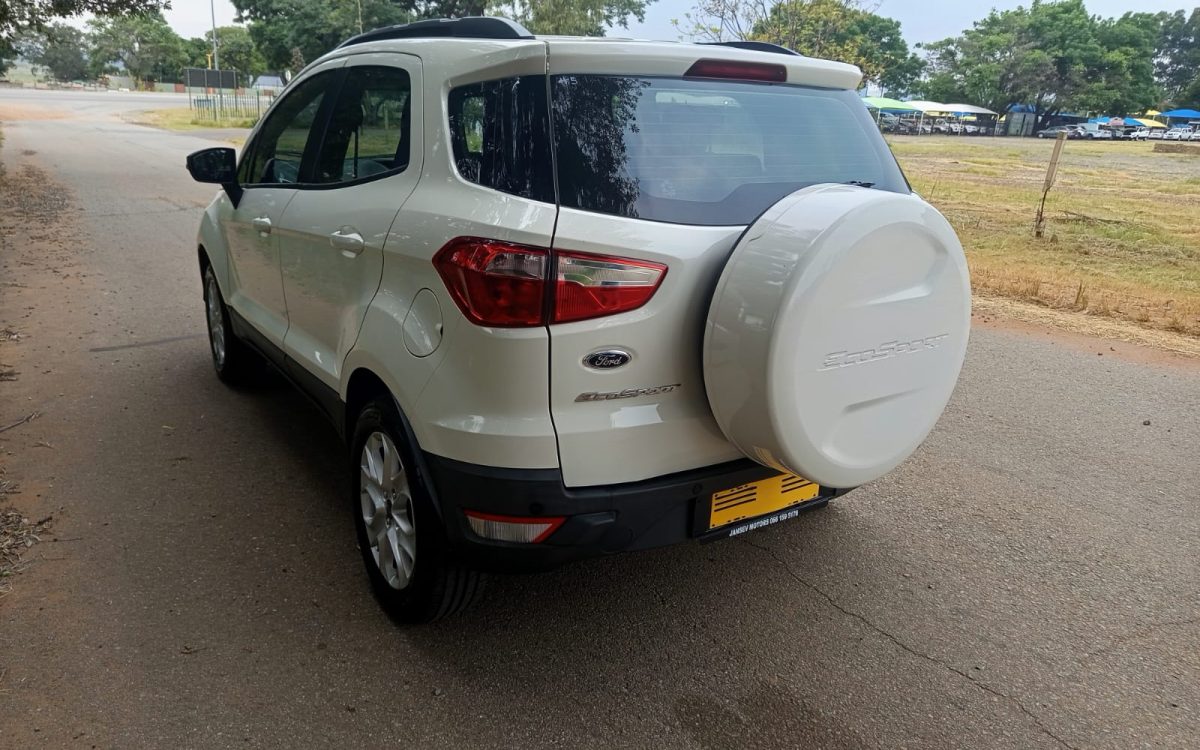 WhatsApp Image 2026-02-13 at 10.57.24 (2)