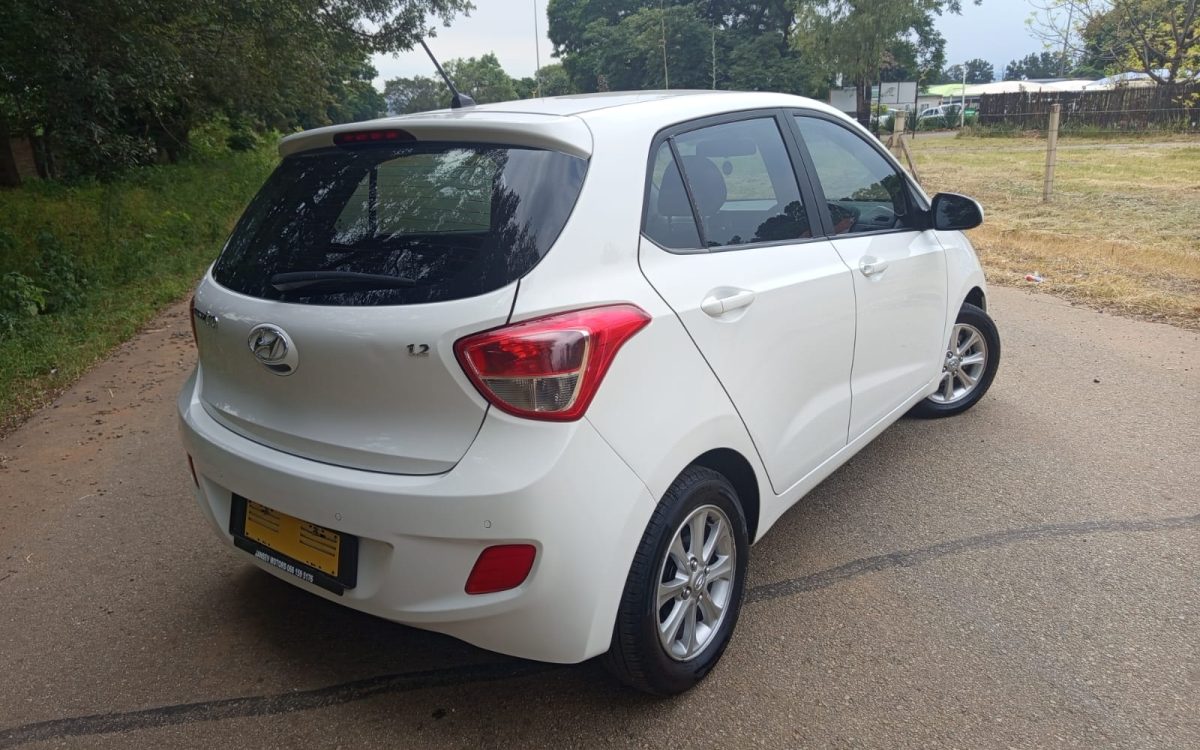 WhatsApp Image 2026-02-13 at 10.57.34