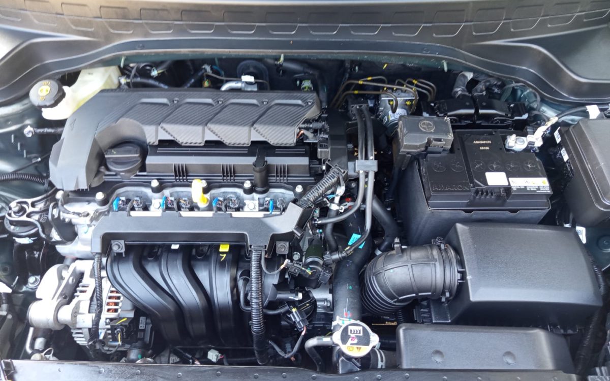 WhatsApp Image 2026-02-19 at 15.13.11