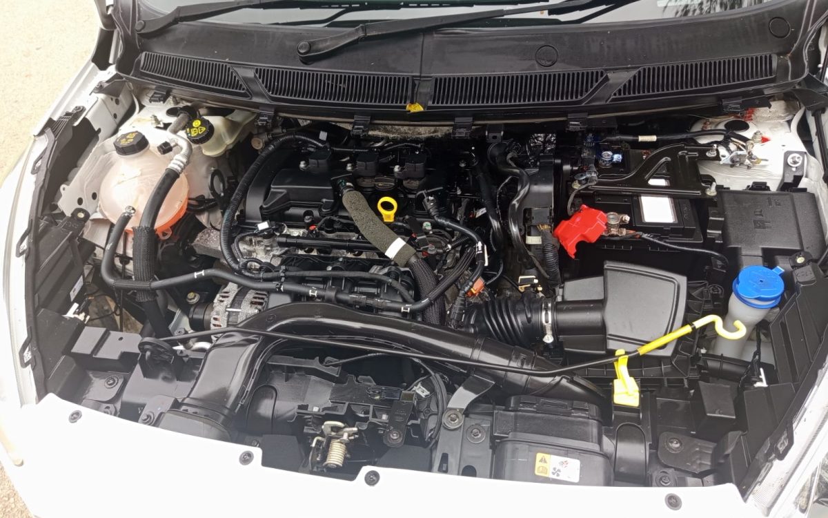 WhatsApp Image 2026-03-25 at 08.40.21