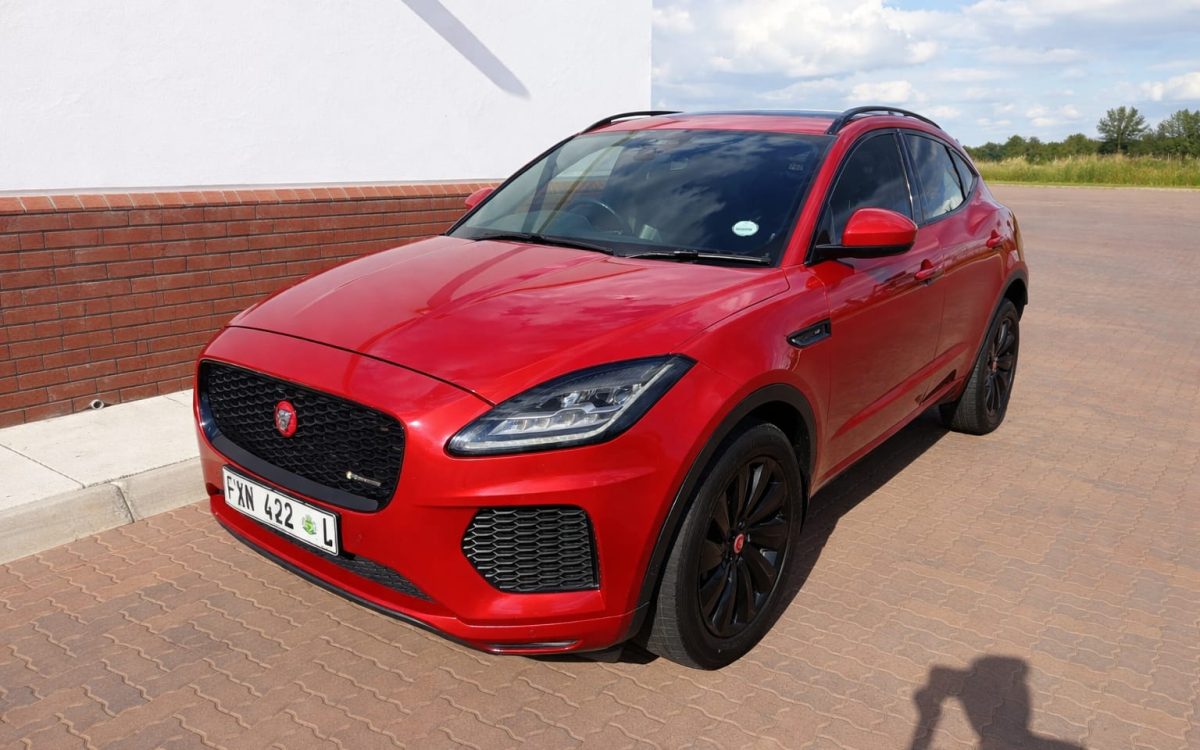 WhatsApp Image 2026-03-30 at 16.10.23 (1)