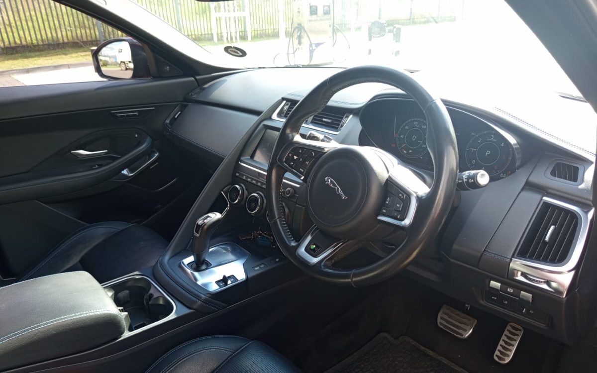 WhatsApp Image 2026-03-30 at 16.10.24 (1)