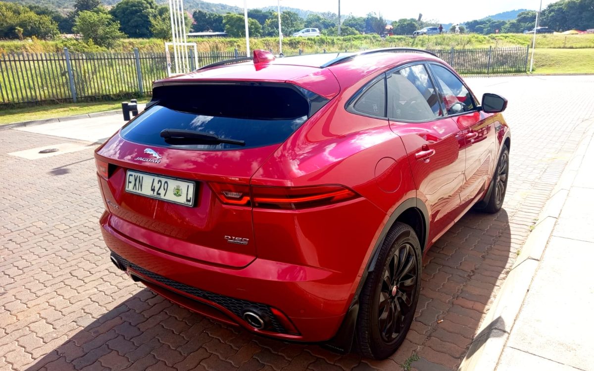 WhatsApp Image 2026-03-30 at 16.10.25 (2)